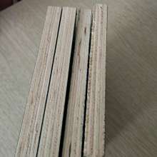 2020年木胶合板模板价格 规格 木胶合板模板批发 供应 第6页