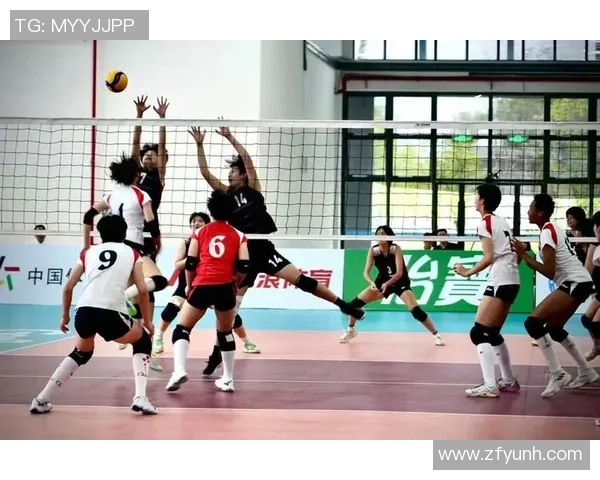 赛后分析：上海排球队与杭州排球队的战术对决全景回顾